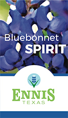 Bluebonnet Spirit Image
